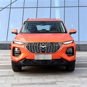 دیاق سپر جلو هایما HAIMA 8S